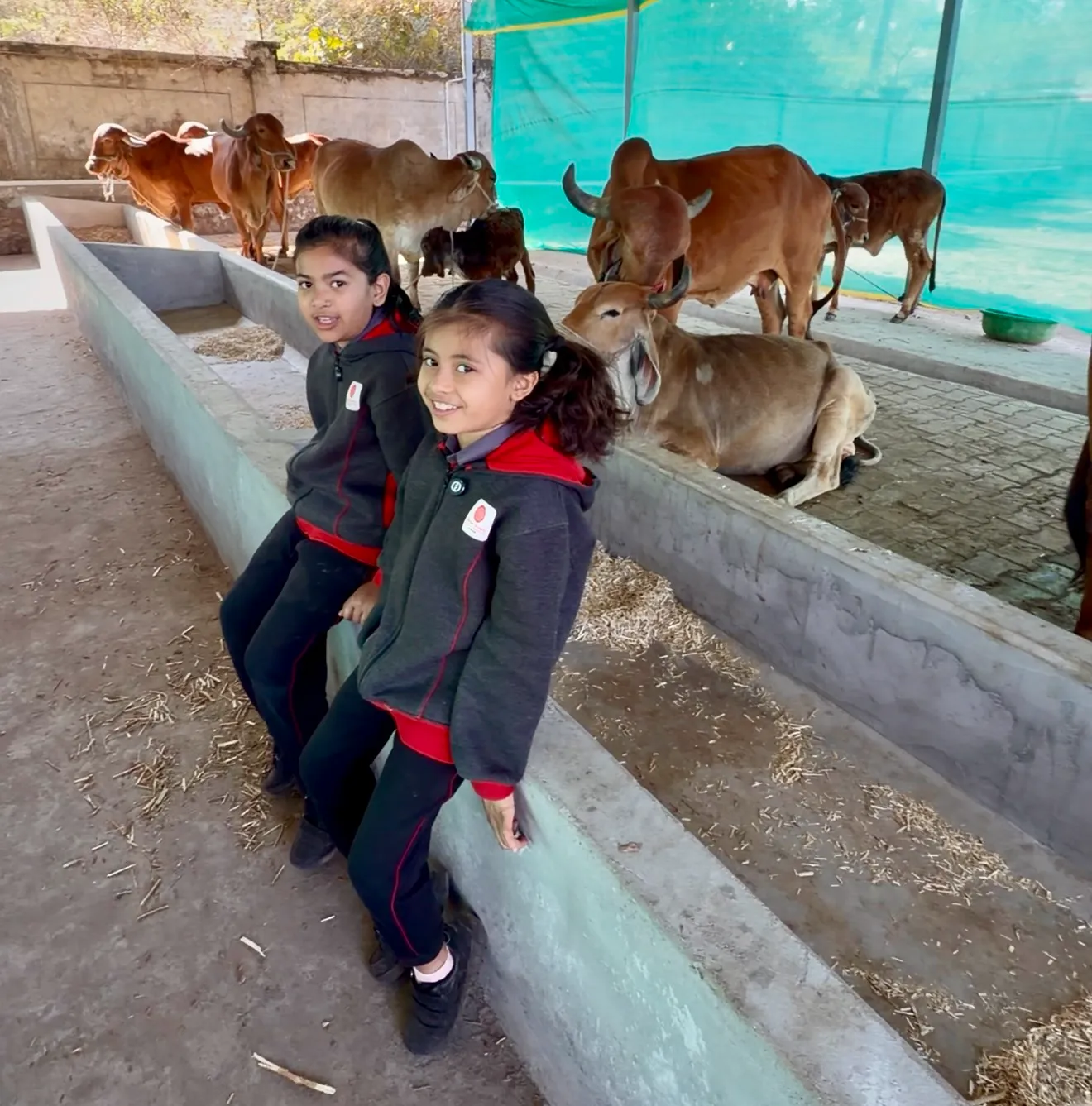 Animal Husbandry SSI