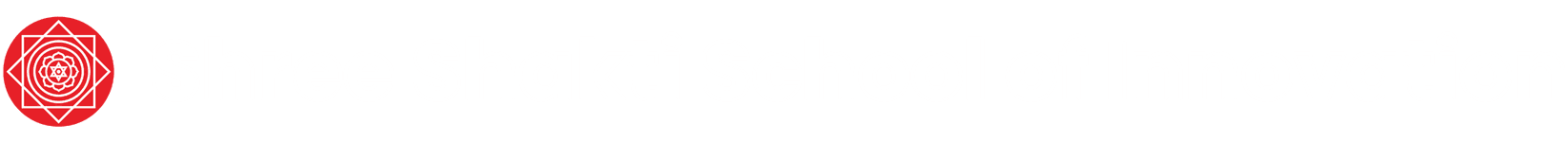 Shree Shakti School of Innovation Logo