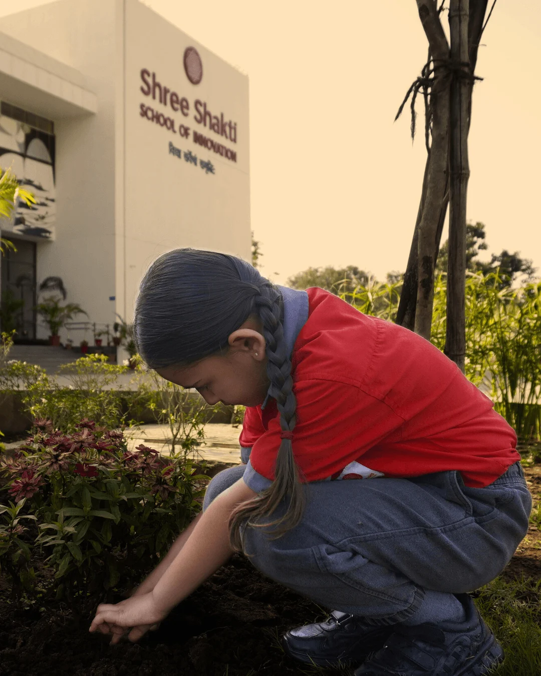 Gaushala and animal care at SSI