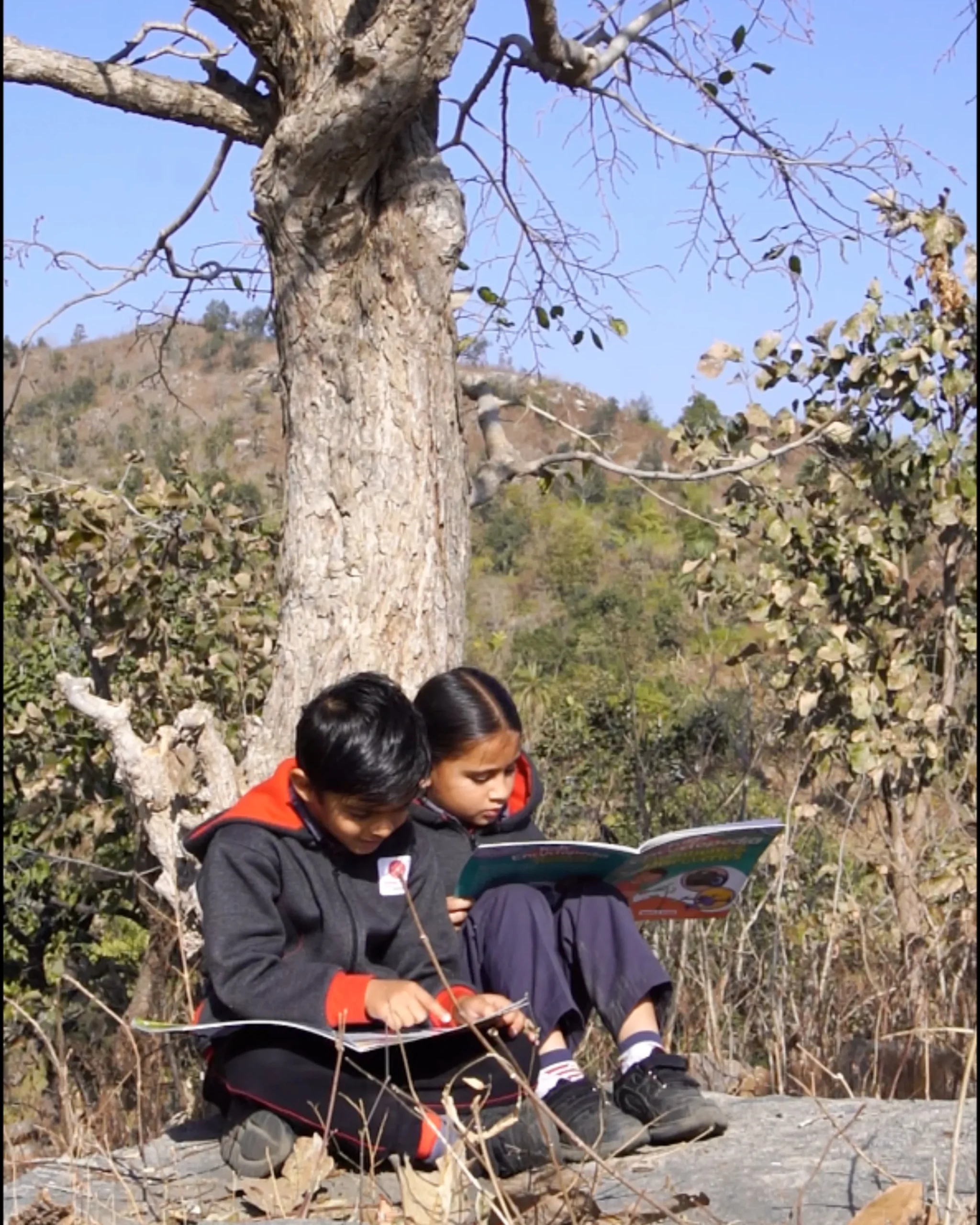 Children Reading Books Outdoors Under Tree