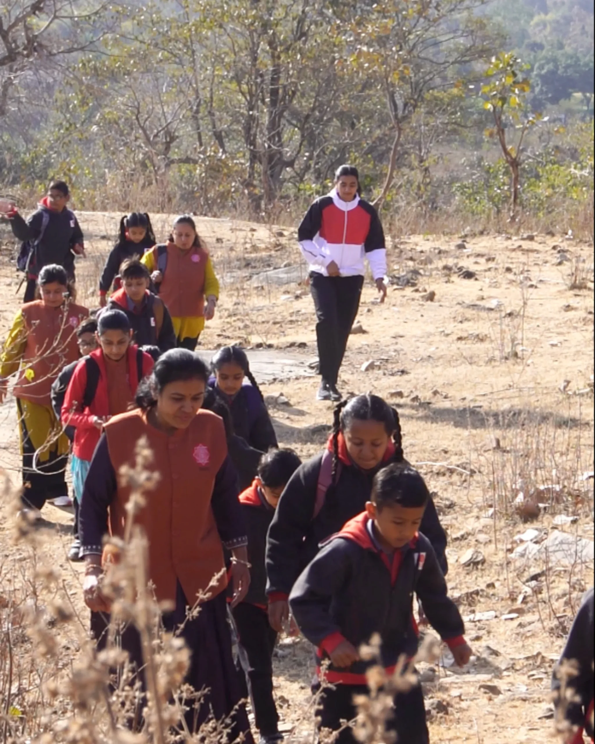 Group Of Students Hiking On Nature Trail