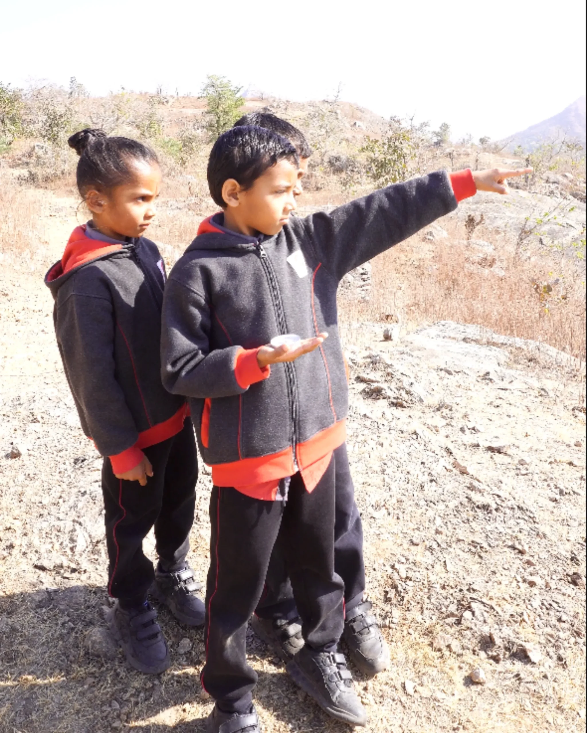 School Children Pointing On Outdoor Field Trip