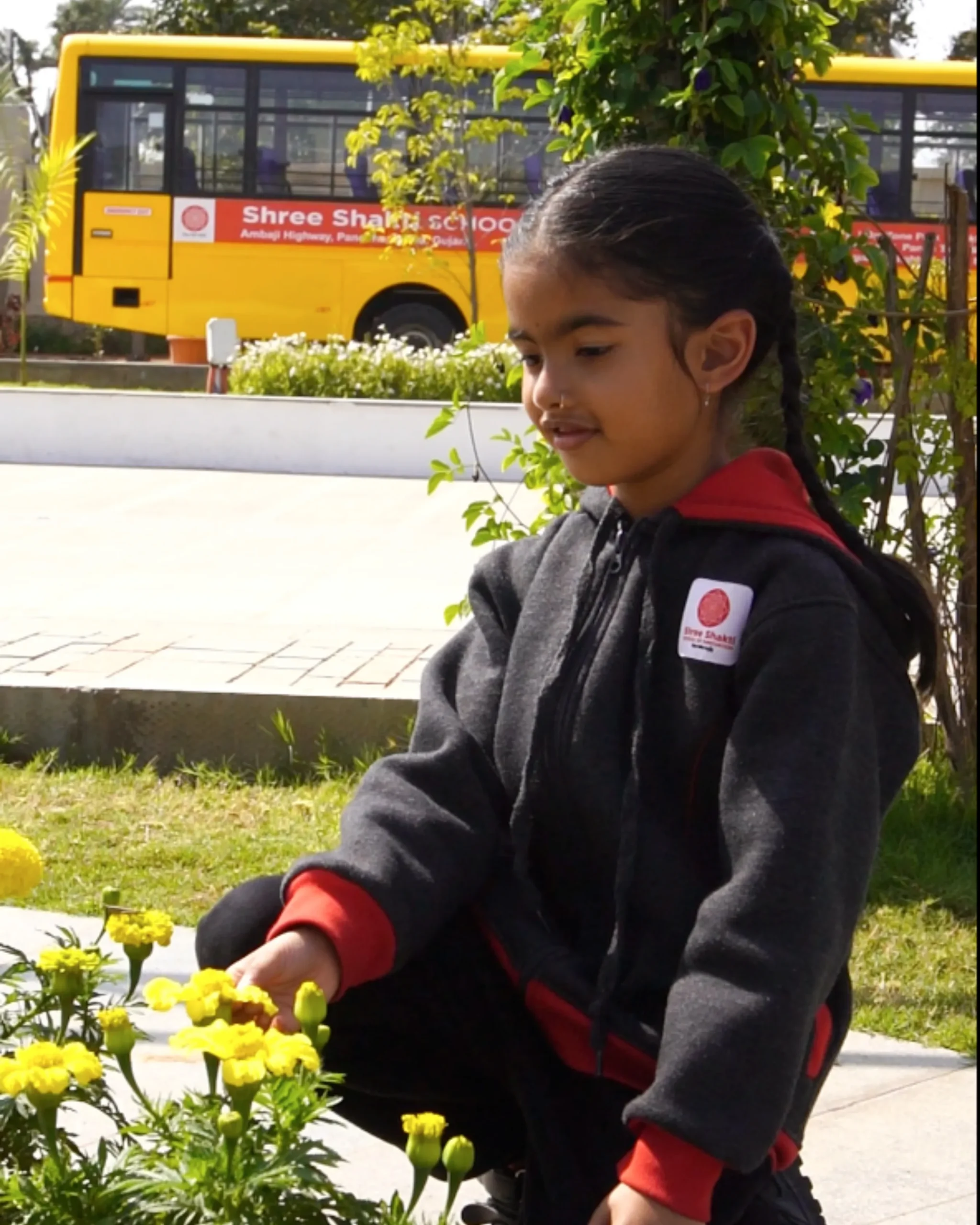 School Girl Touching Yellow Flowers In Garden