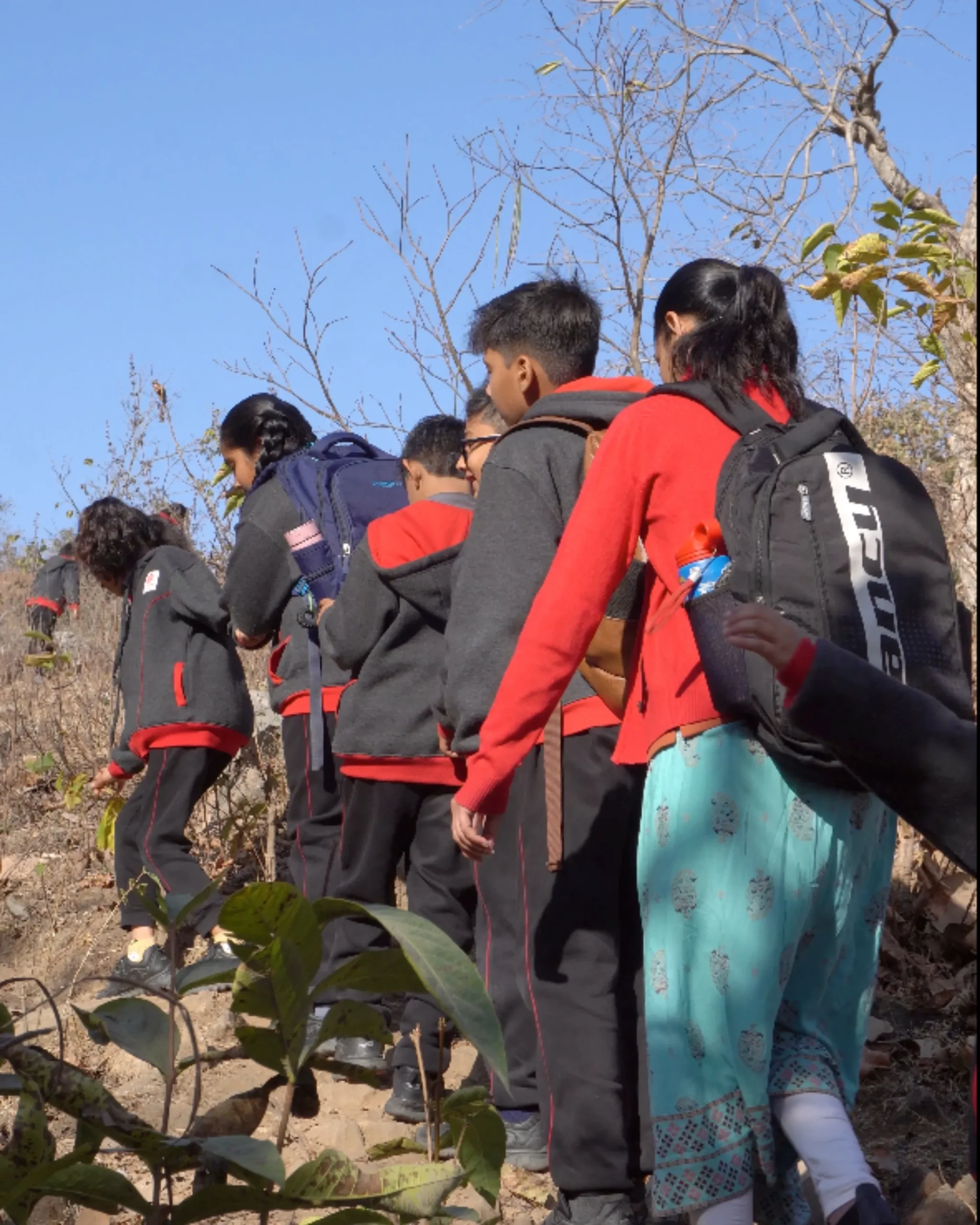 Students Hiking On Nature Trail