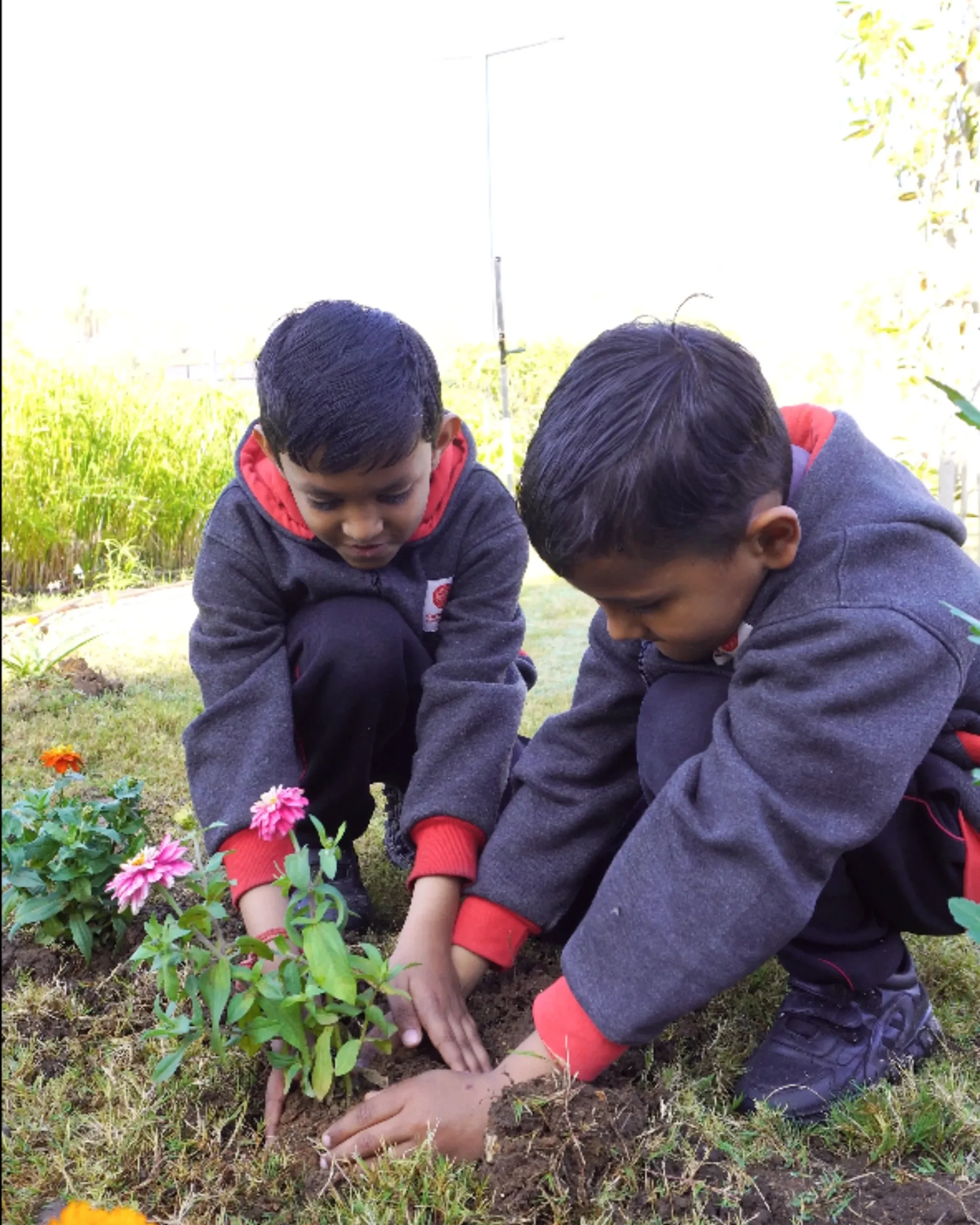 Two Boys Planting Flower In Garden