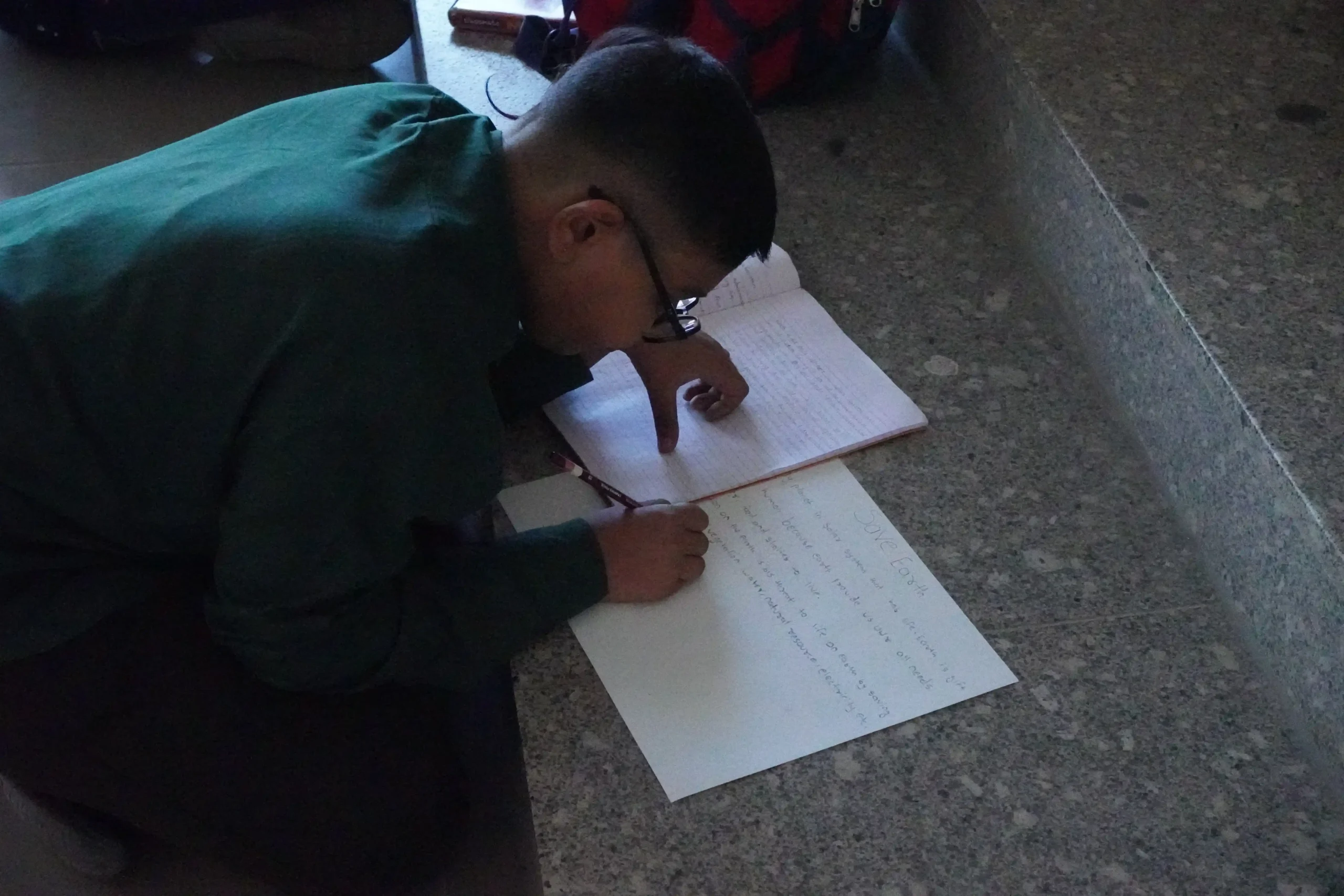 Essay Writing for Earth Day
