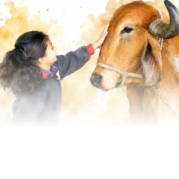 SSSI Nutrition Program